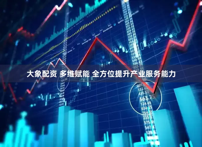 大象配资 多维赋能 全方位提升产业服务能力