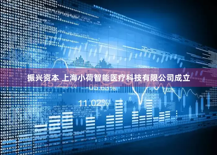振兴资本 上海小荷智能医疗科技有限公司成立