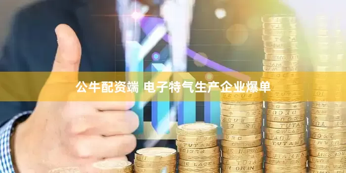 公牛配资端 电子特气生产企业爆单