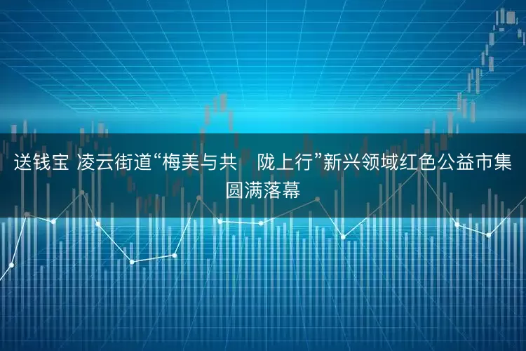 送钱宝 凌云街道“梅美与共・陇上行”新兴领域红色公益市集圆满落幕